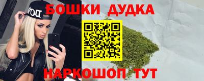 индика Бердск