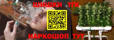 индика Бердск