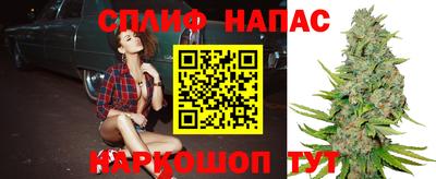 индика Бердск