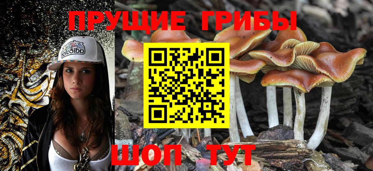 Великий Новгород  Галлюциногенные грибы ЛСД  Вход с VPN 